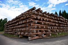 Holzpolter , oder alles aus Holz