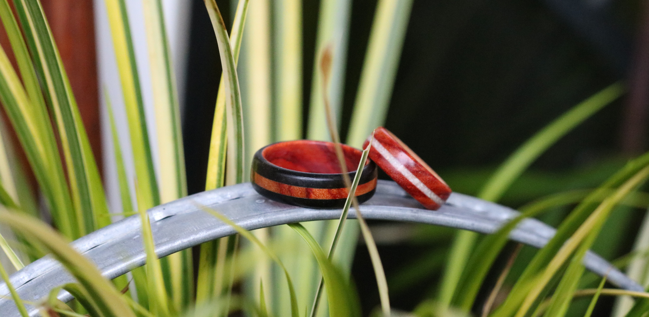 Holzring Ebenholz mit Inlay aus Rosenholz, Holzring Rosenholz mit Inlay aus Muschelkalk