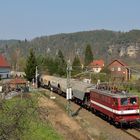 Holzroller 242 110 letzten Sonntag bei Rathen