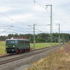 Holzroller auf Abwegen