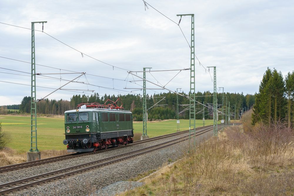 Holzroller auf Abwegen