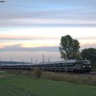 Holzroller im letzten Licht