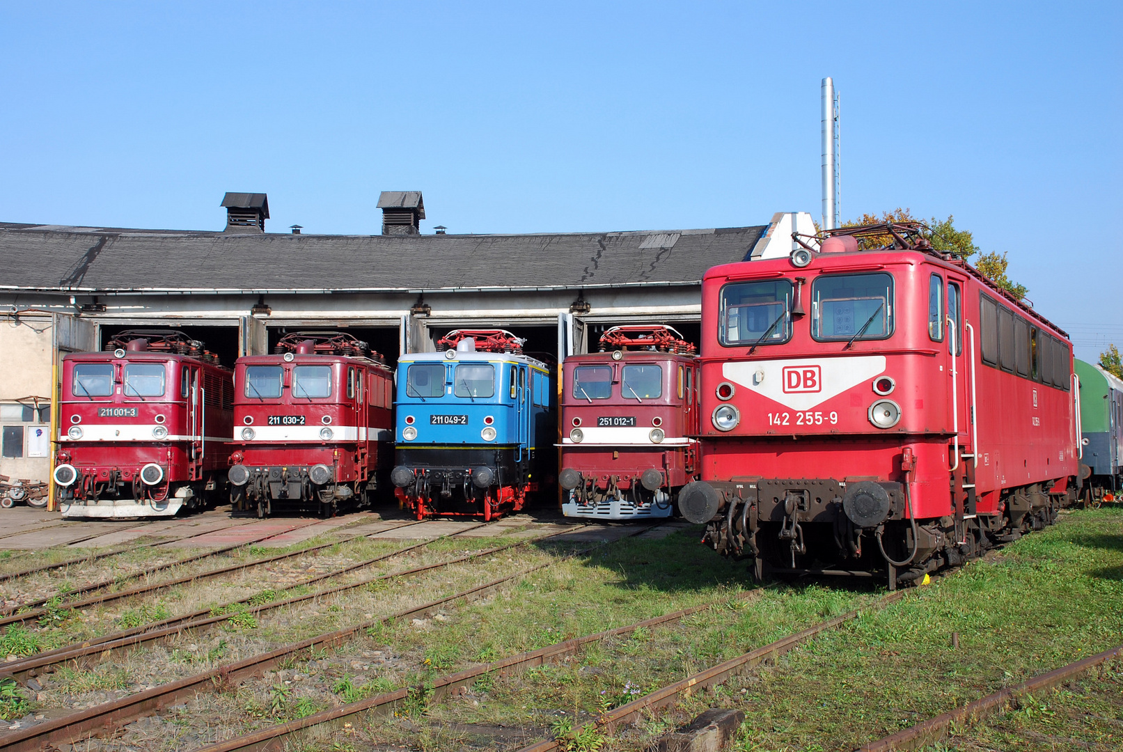 Holzroller-Treffen