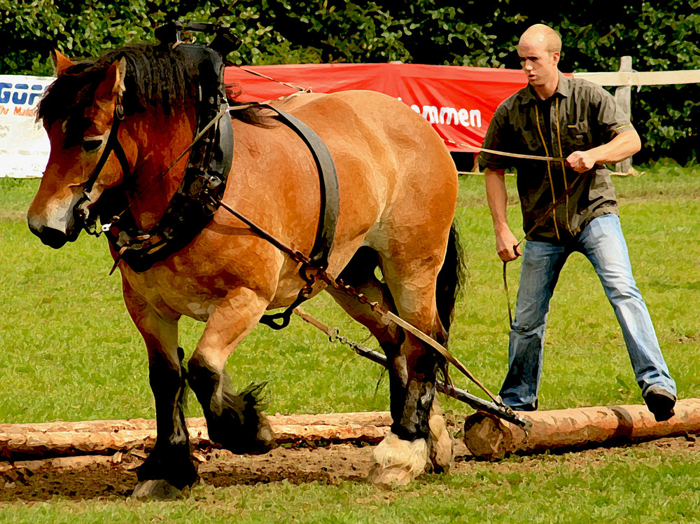 holzrücken