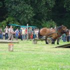 Holzrücken Flechtingen 2012