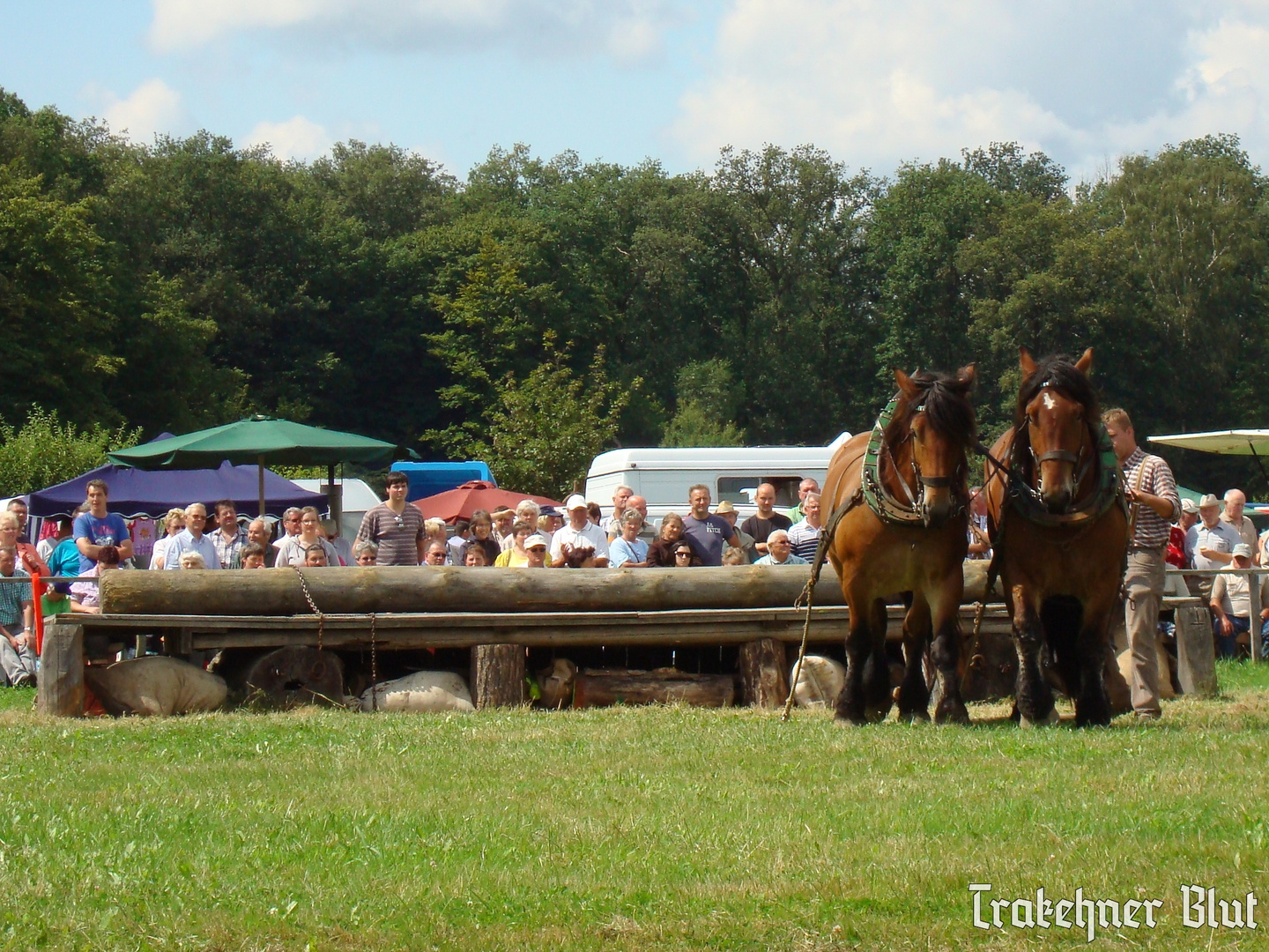 Holzrücken in Flechtingen 2012