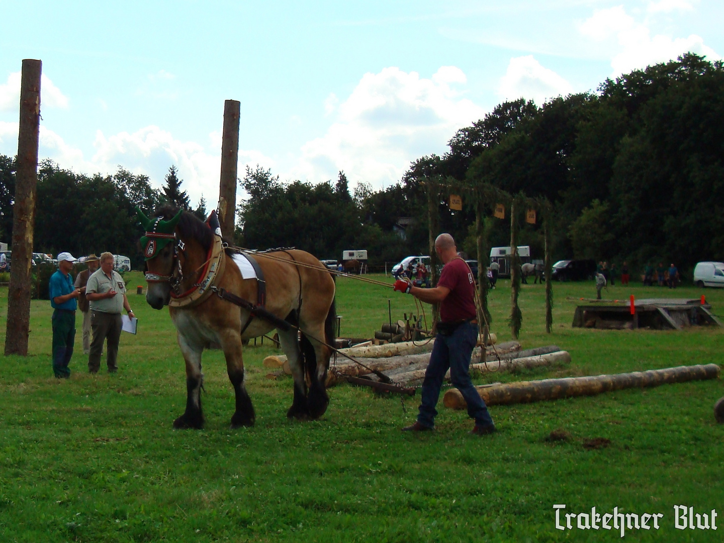 Holzrücken in Flechtingen 2012