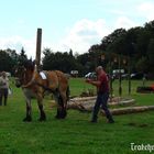 Holzrücken in Flechtingen 2012