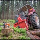 "Holzrücken,...Oberfranken"