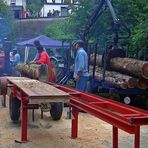 Holzsägen - wie vor ca. 50 Jahren, die erste