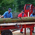 Holzsägen - wie vor ca. 50 Jahren, die zweite