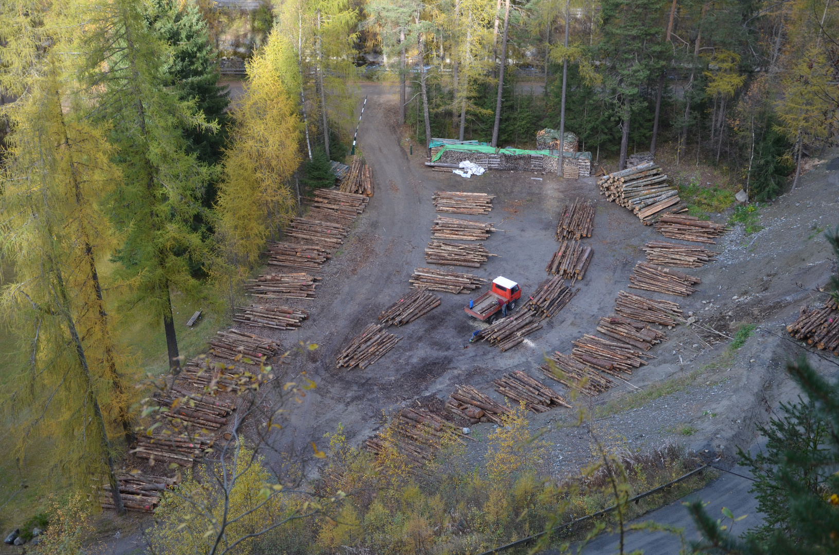 Holzsammelplatz