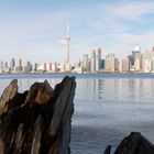 Holzscheite vor Toronto