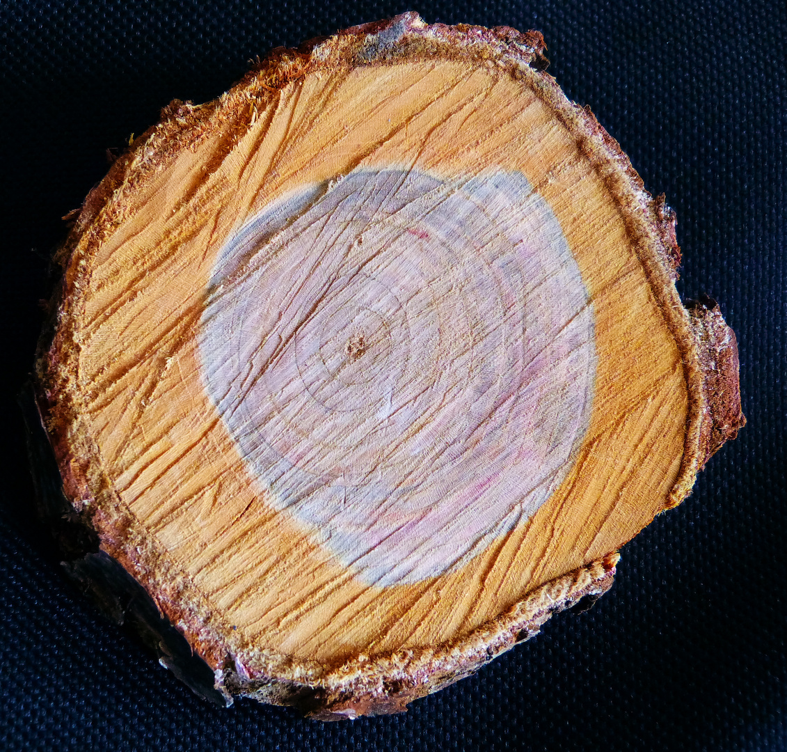 Holzschnitt