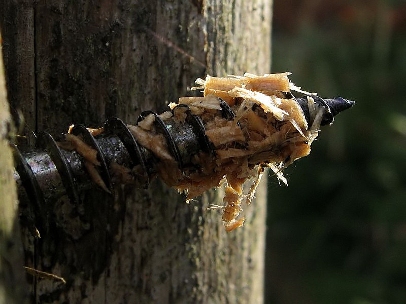 "Holz"schraube