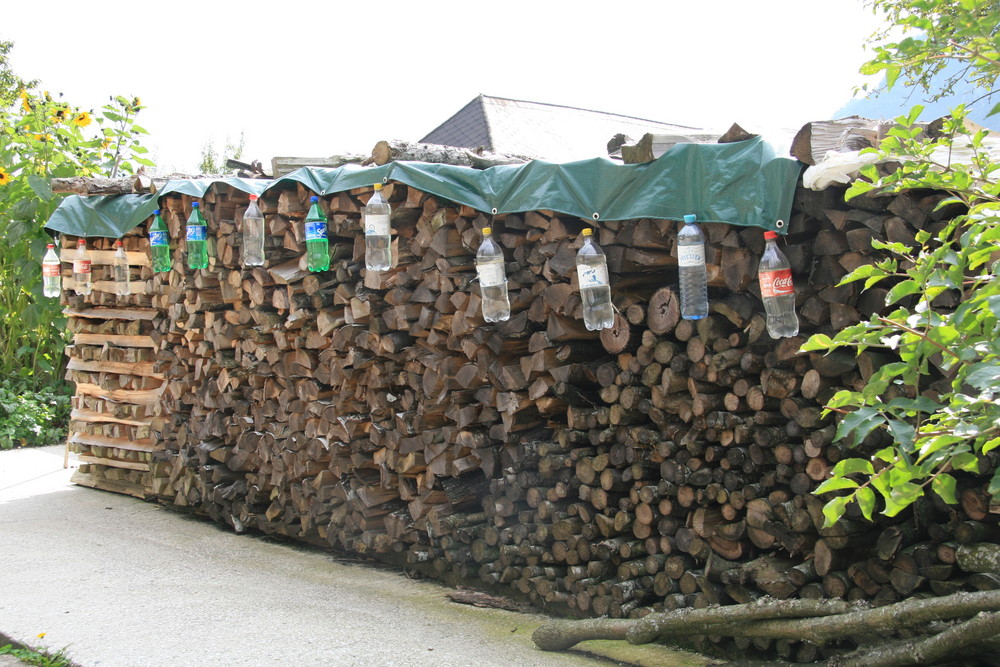 Holzschutz der besonderen Art