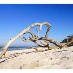 Holzsklulpturen am Strand