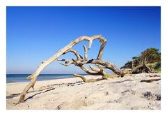 Holzsklulpturen am Strand