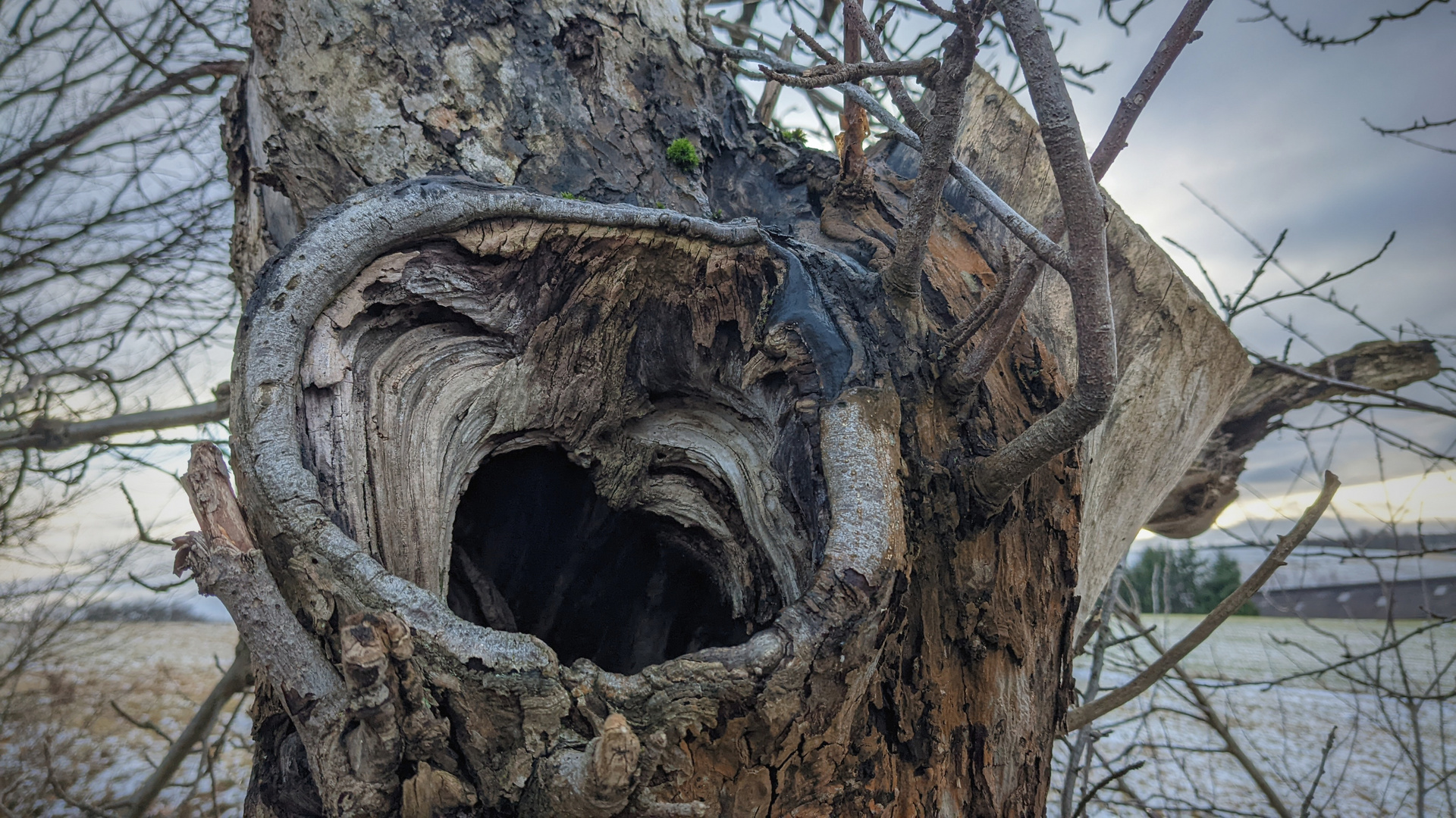 Holzskulptur