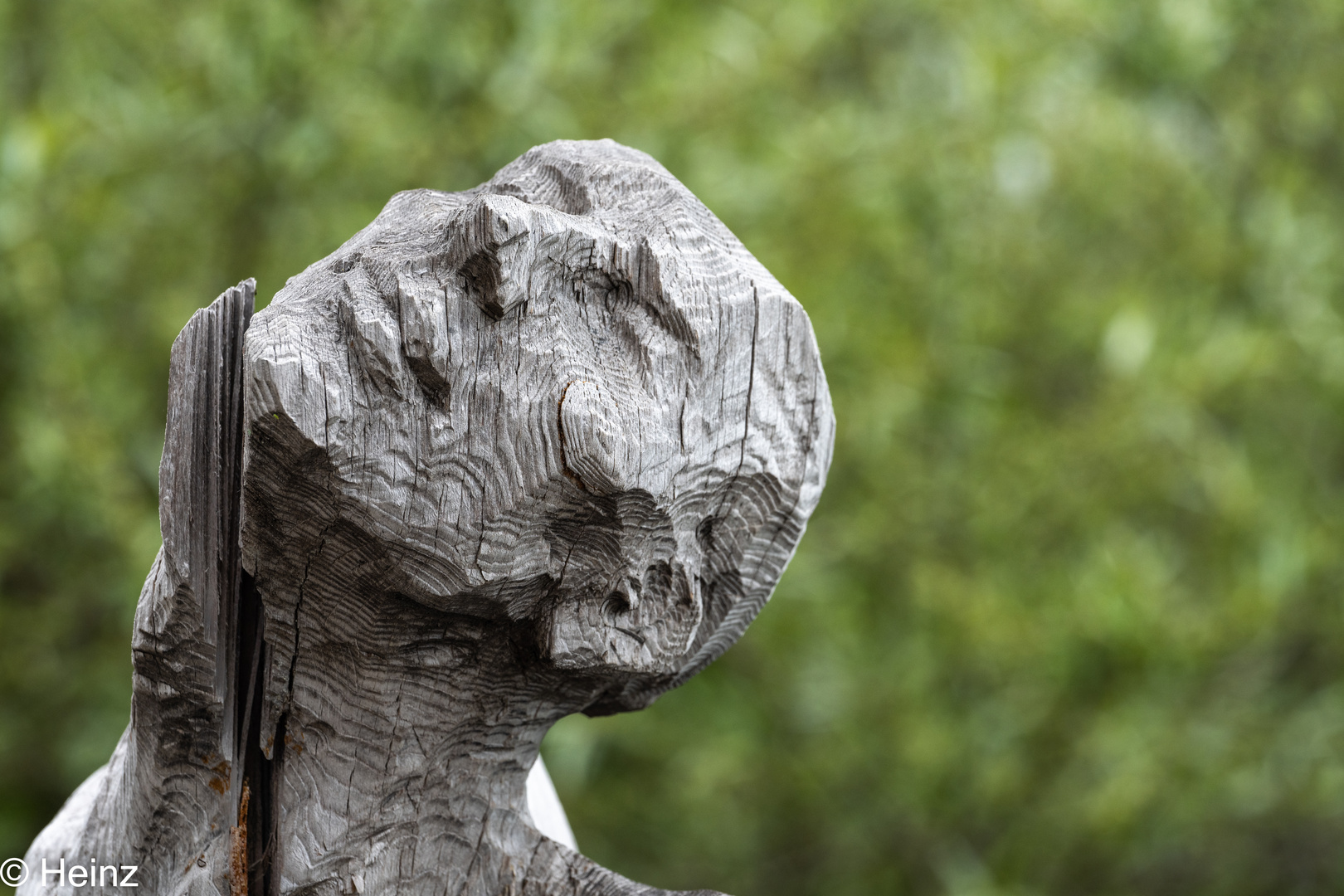 Holzskulptur am Brienzersee