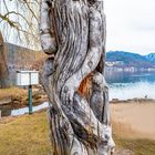 Holzskulptur am Tegernsee