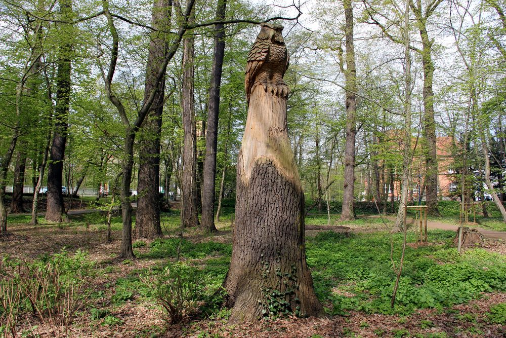 Holzskulptur im Kurpark Bad Liebenwerda