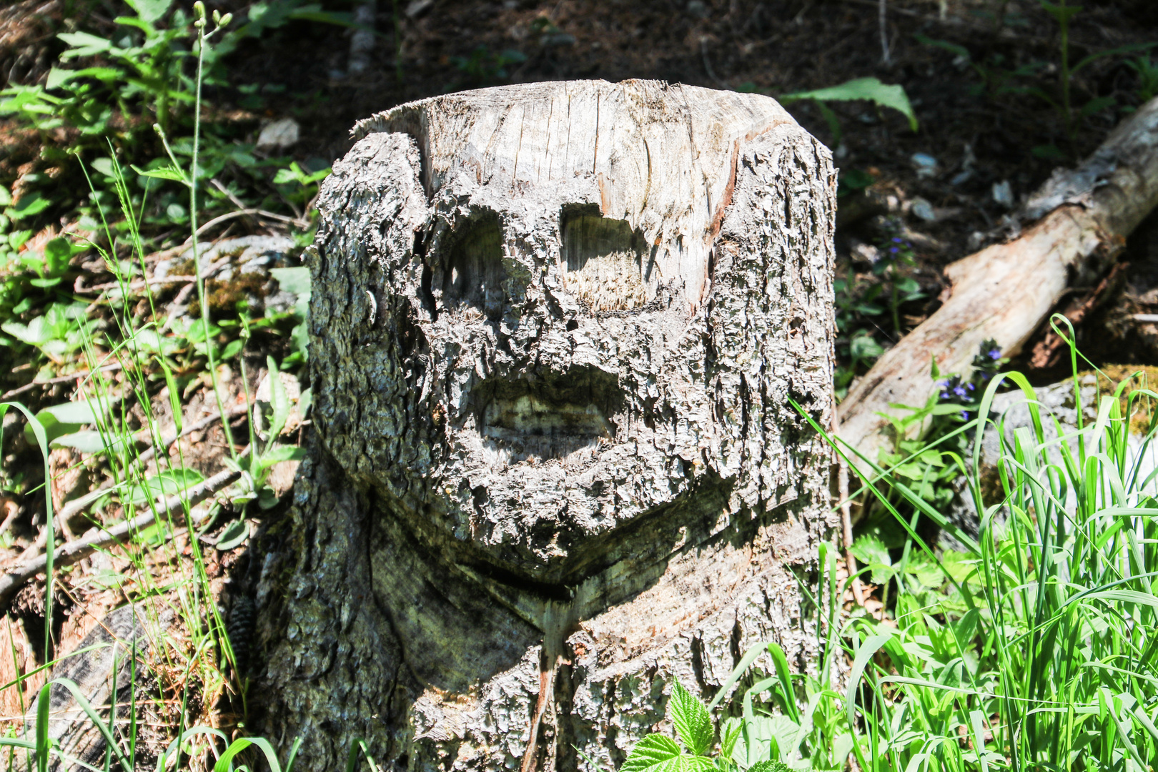 Holzskulptur in St. Martin