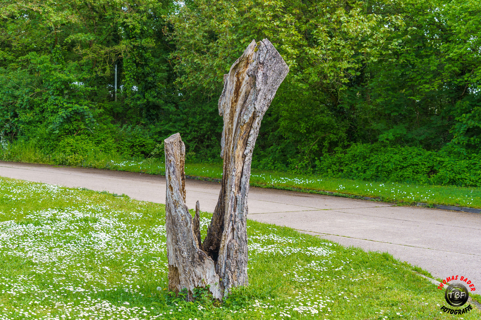 Holzskulptur Typ....