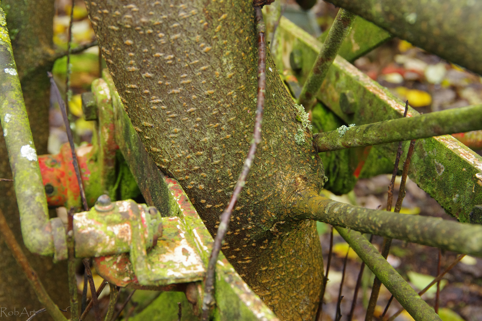 Holzspeichen und Eisenäste