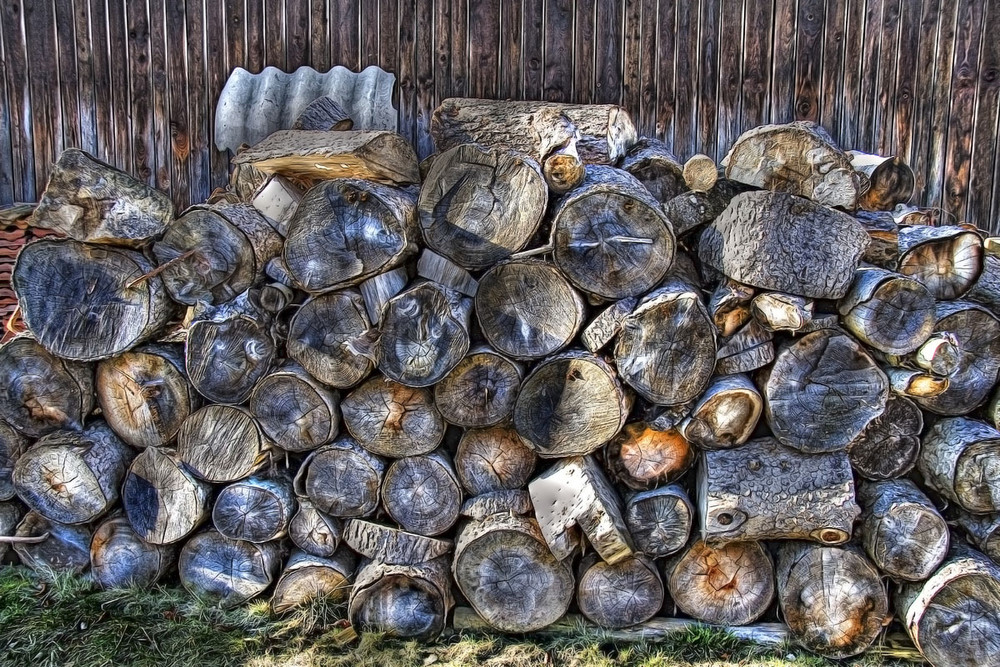 Holzsstämme Stilleben EBV