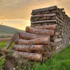 Holzstämme am Morgen in HDR