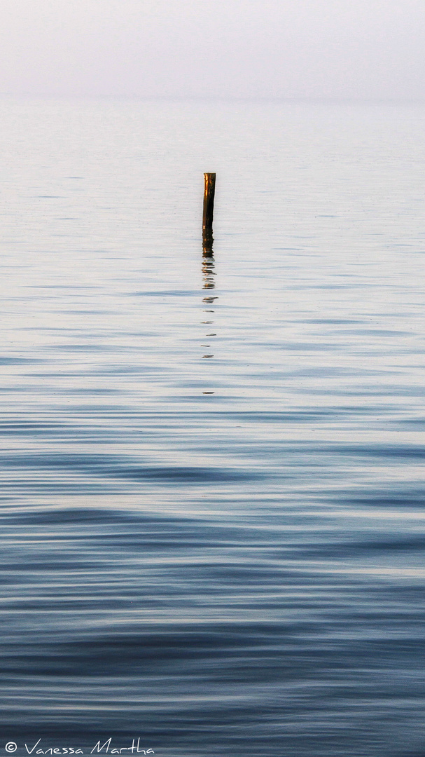 Holzstamm im Meer