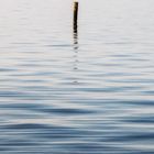 Holzstamm im Meer