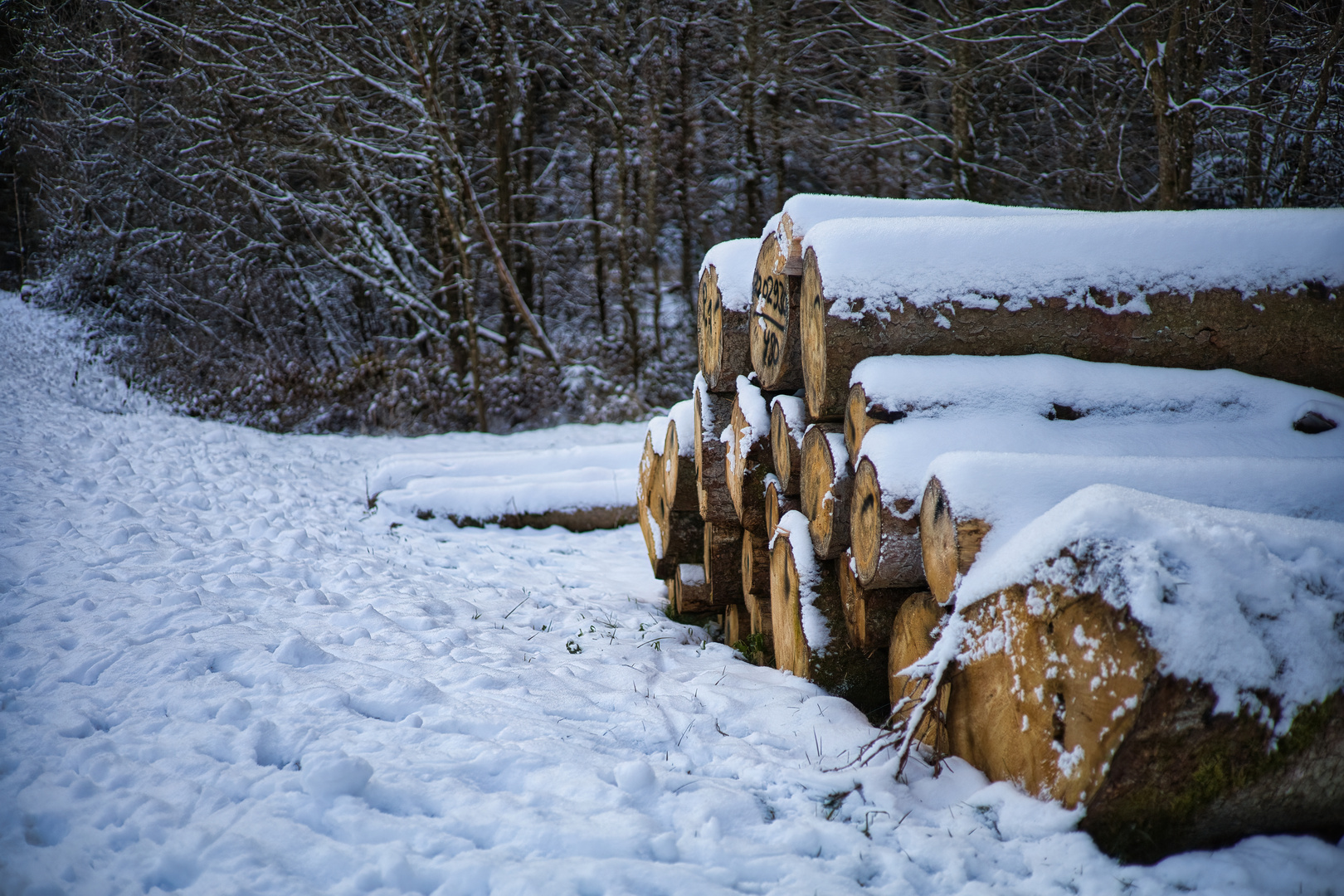 Holzstapel