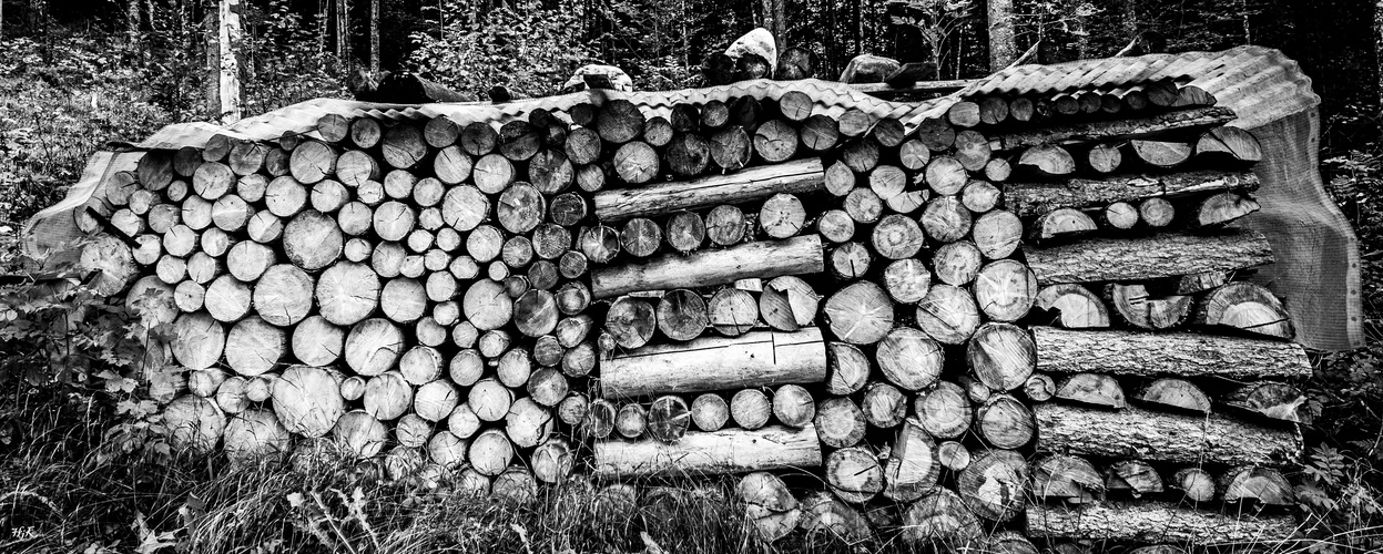 Holzstapel ..