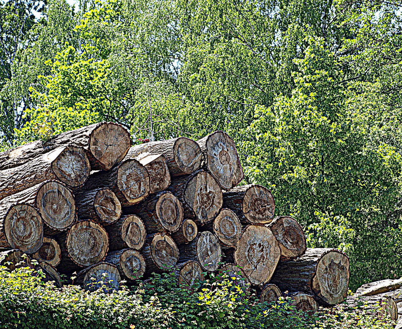 Holzstapel