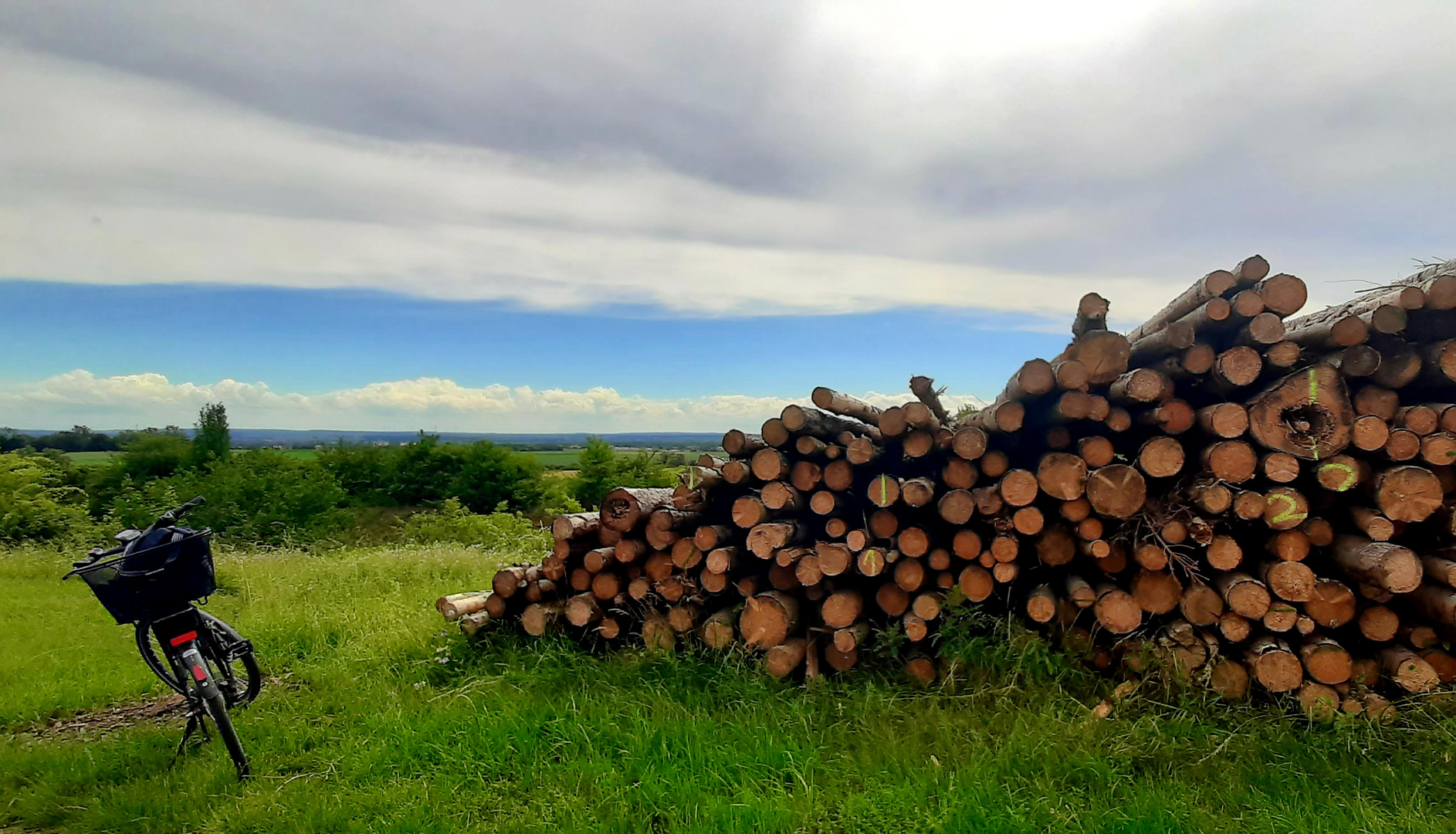 ~ Holzstapel am Feldrand ~