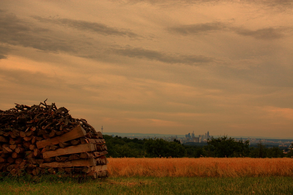 Holzstapel