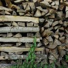 Holzstapel