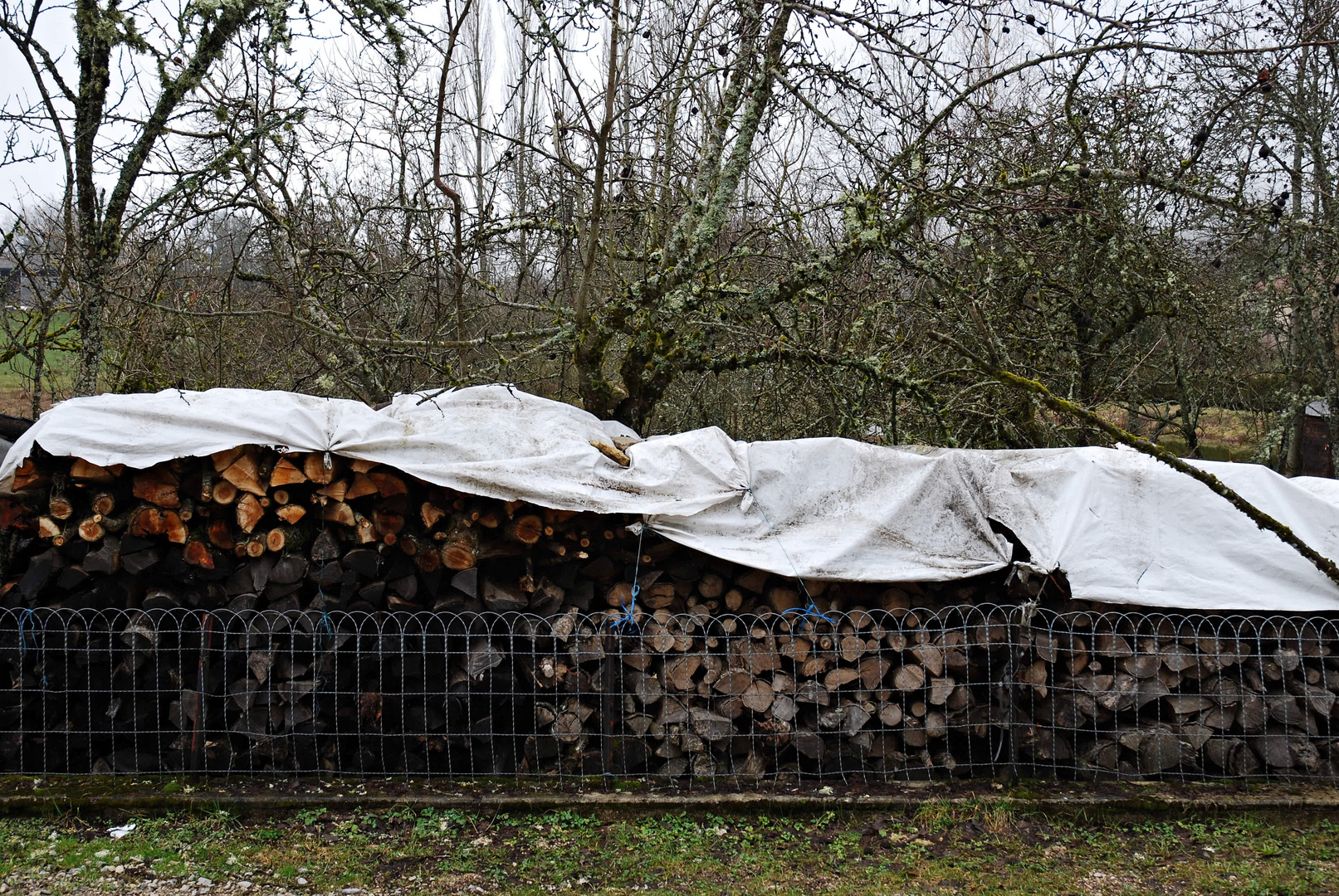 Holzstapel bei Colouvre