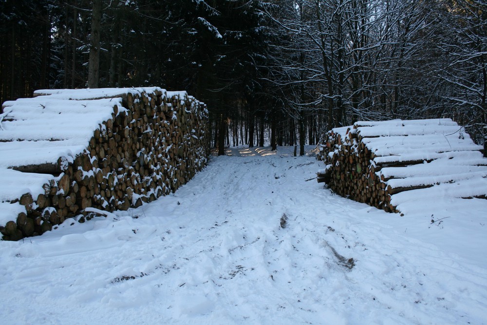 Holzstapel im Januar 2009