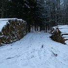 Holzstapel im Januar 2009