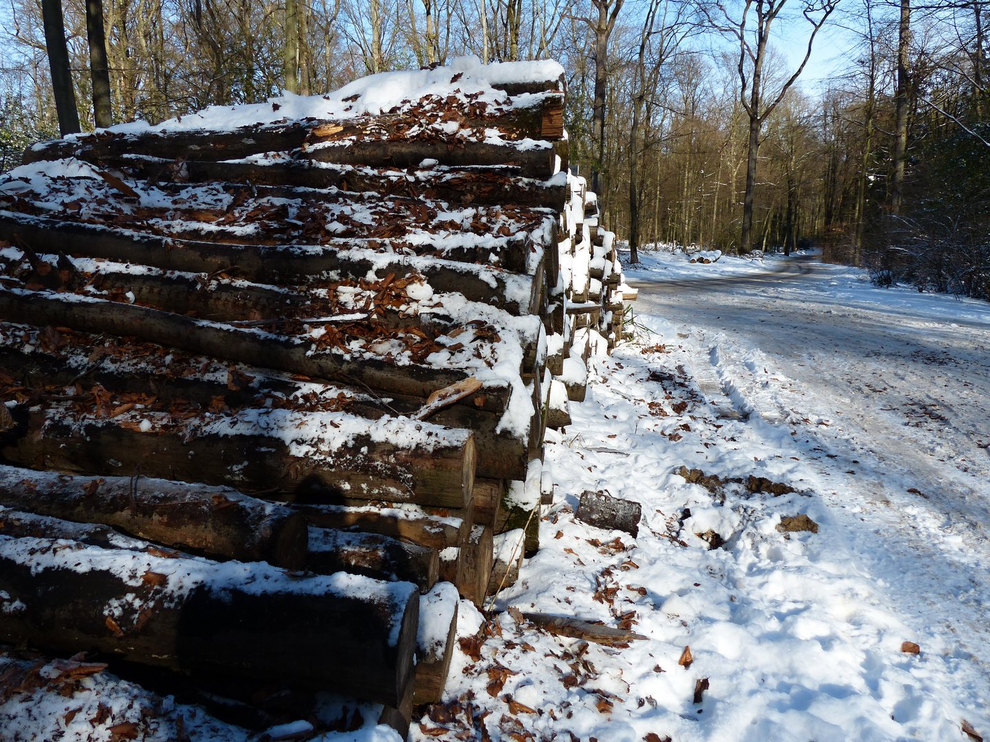 Holzstapel im Schnee