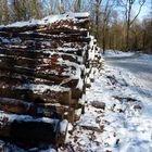 Holzstapel im Schnee