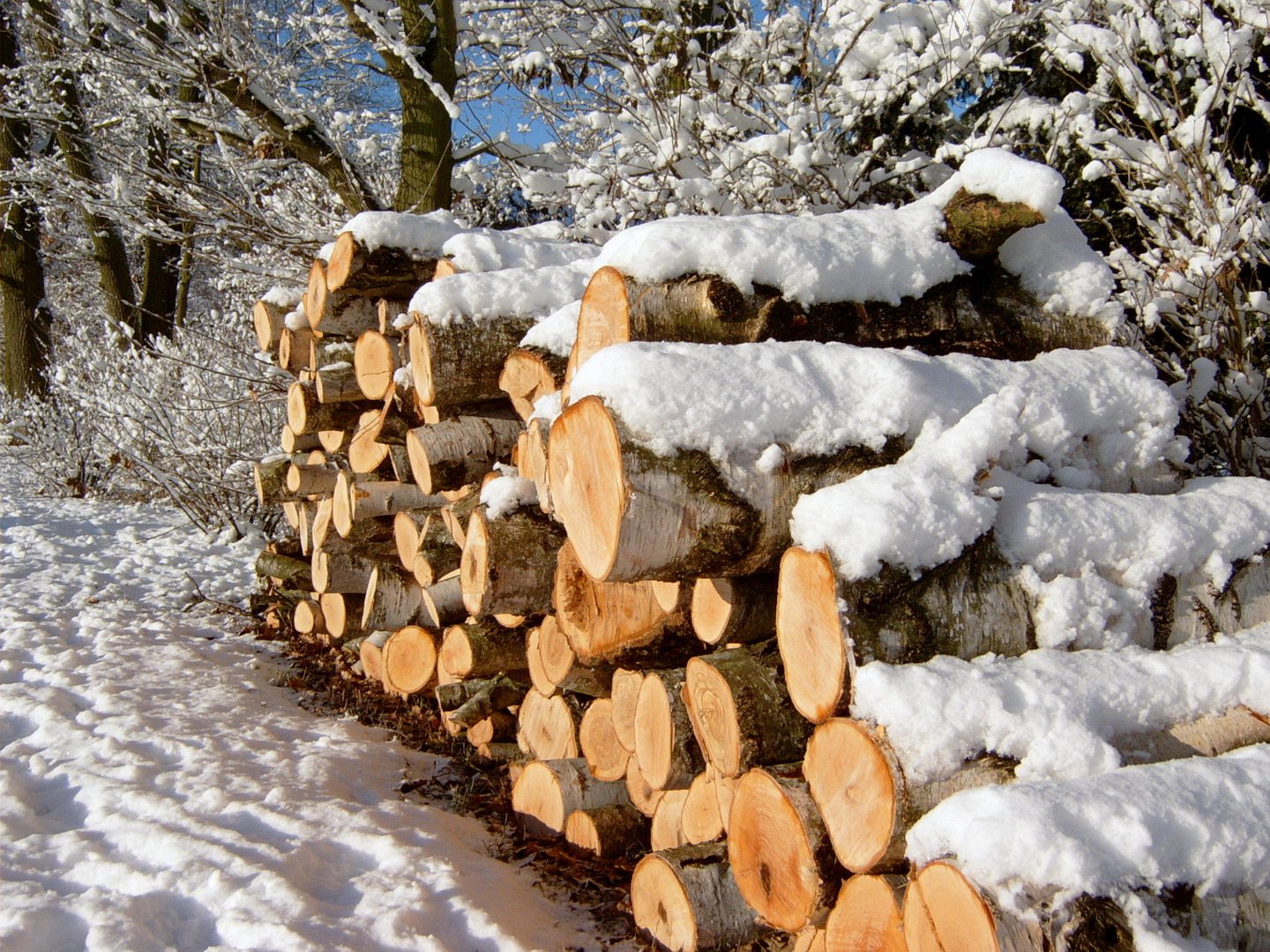 Holzstapel im Schnee