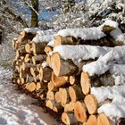 Holzstapel im Schnee