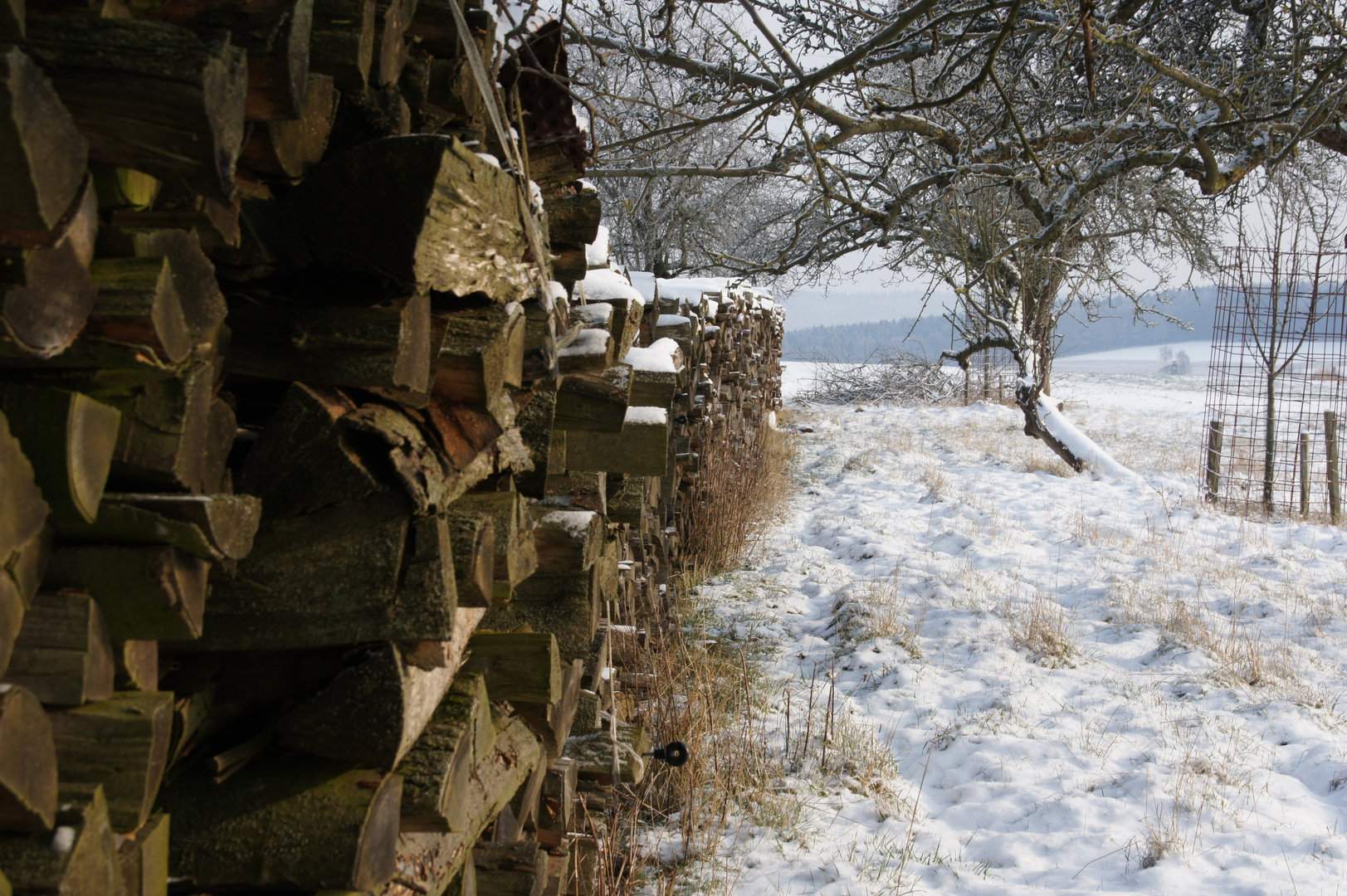 Holzstapel im Winter