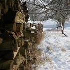 Holzstapel im Winter