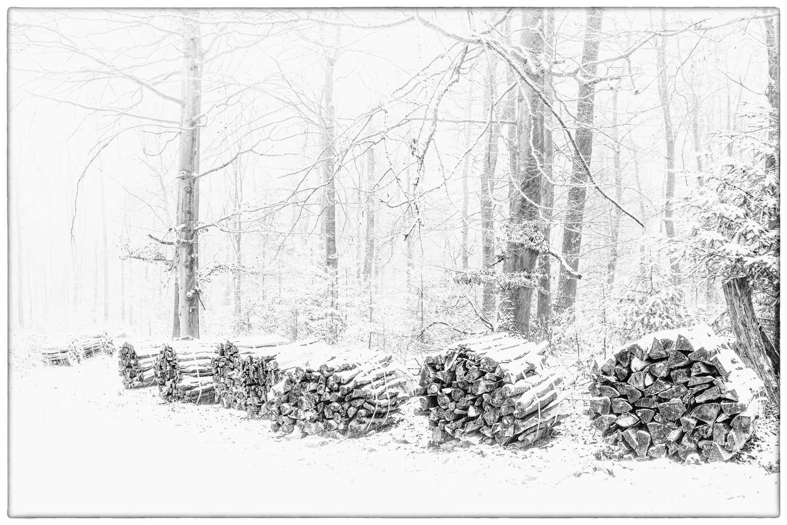 Holzstapel im Winterwald 