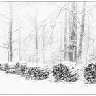 Holzstapel im Winterwald 